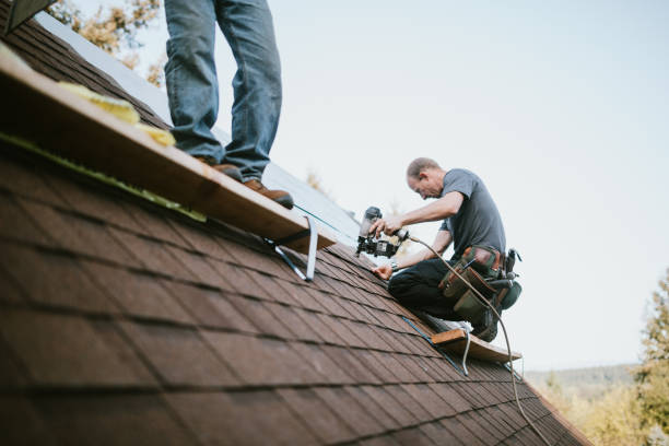 Best Storm Damage Roof Repair  in Petersburg, VA
